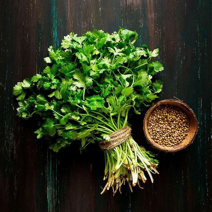 Coriander